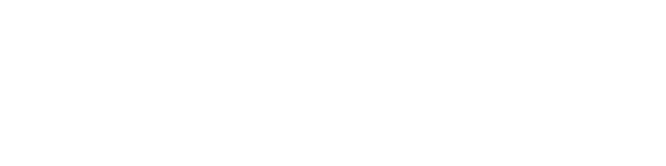 Sitio web UDD